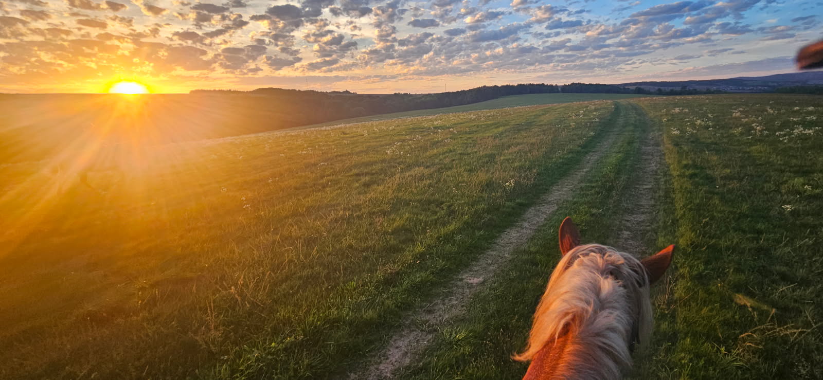 Najkrajšie pohľady sú zo sedla ♡ Vychádzka - september 2025
