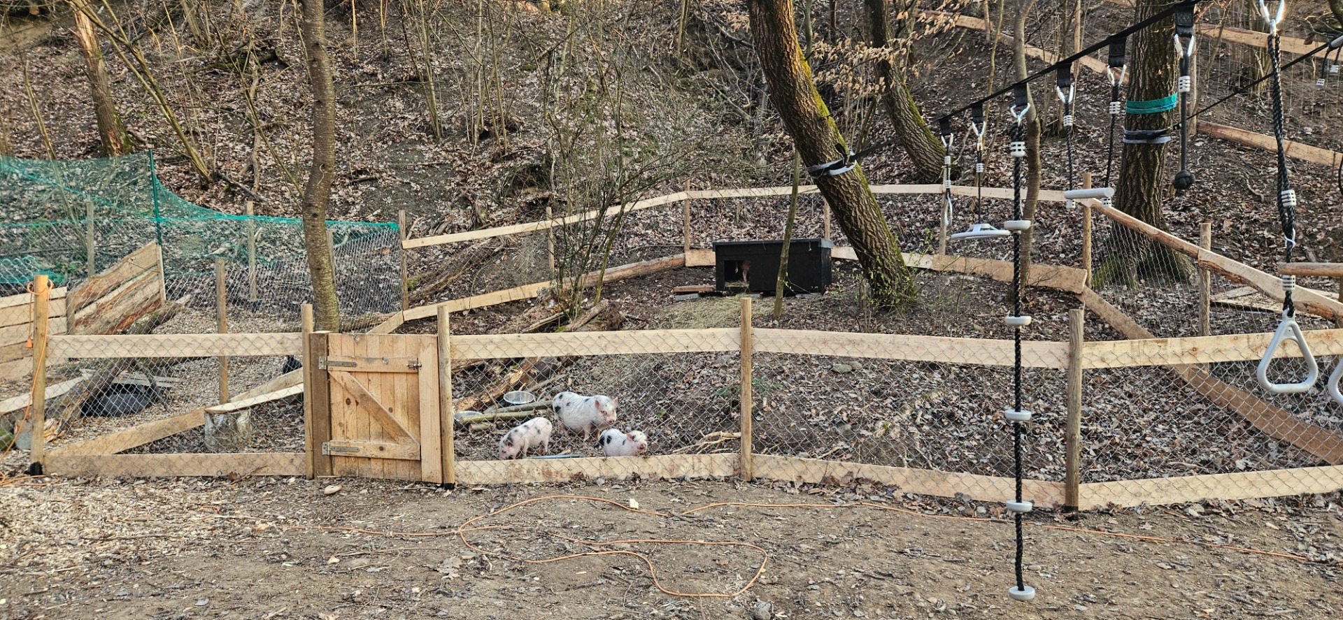 🐷DOMOV NAŠICH MINI PRASIATOK🐖