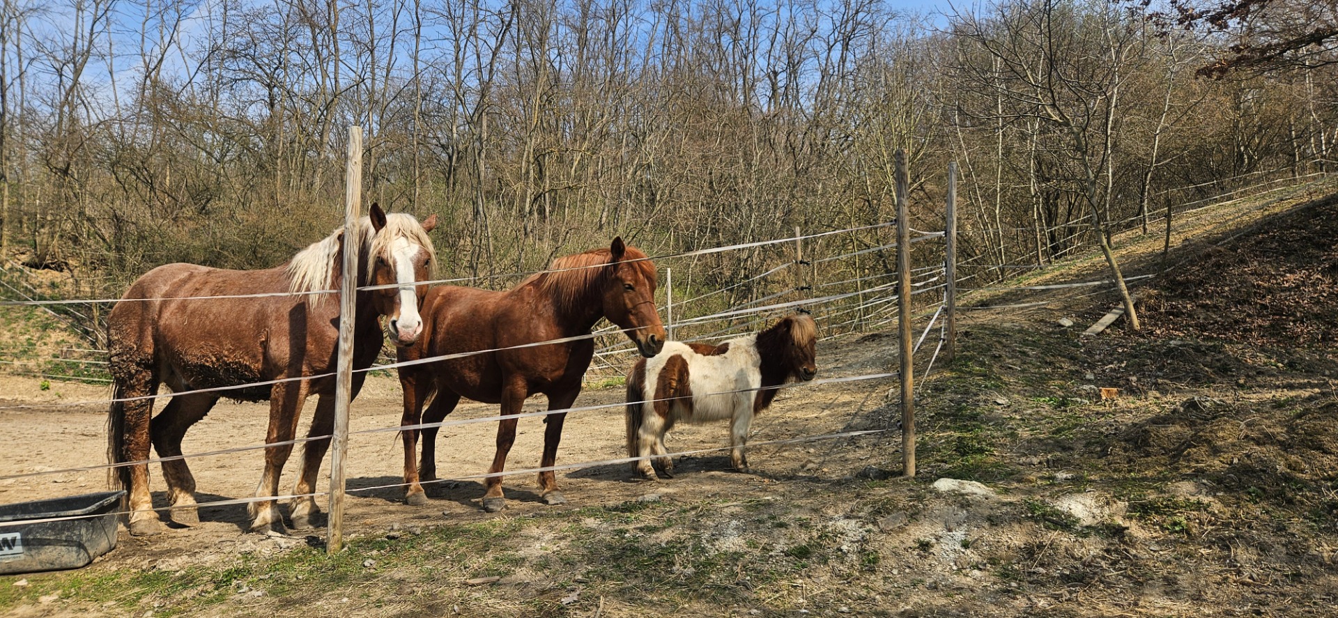 🐎DOMOV NAŠICH KONÍKOV A PONÍKA 🐴