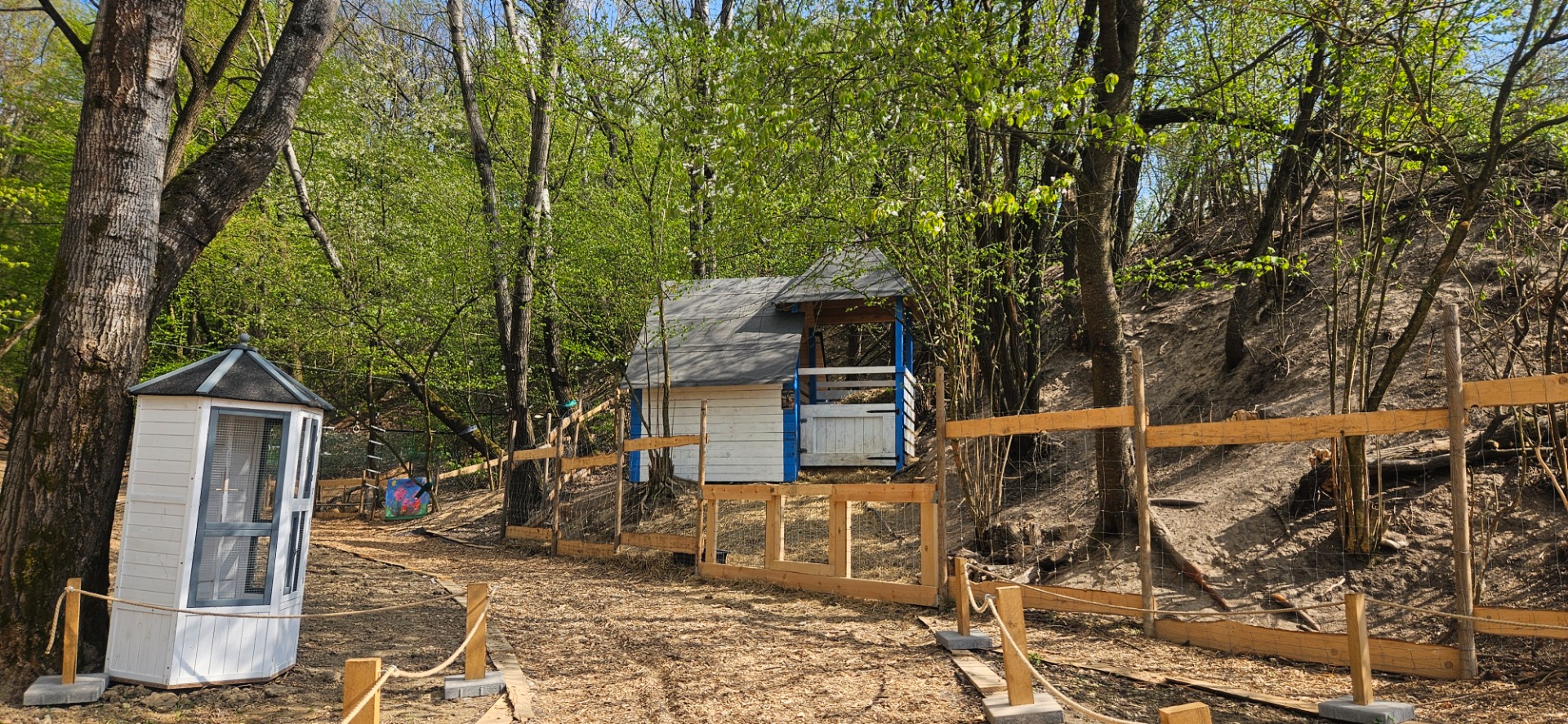  🐐DOMOV NAŠICH CAPKOV, KOZIČIEK A OVEČIEK🐑